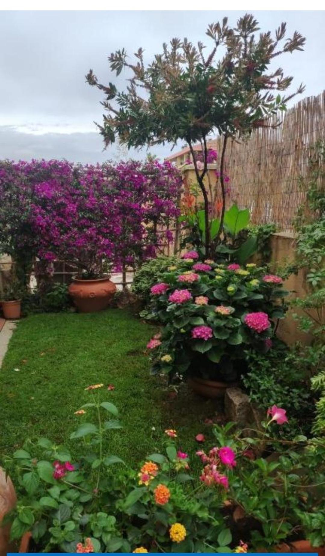 La Casa Di Luca Apartment Olbia Bagian luar foto